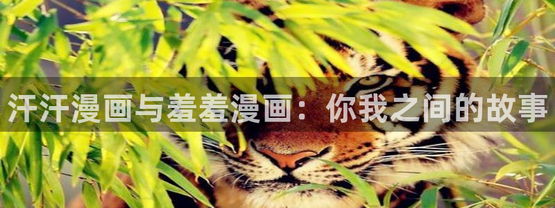 在线动画动漫下载奇漫屋：汗汗漫画与羞羞漫画：你我之间的故事