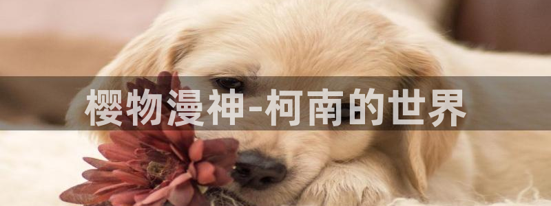 下载奇漫屋：樱物漫神-柯南的世界