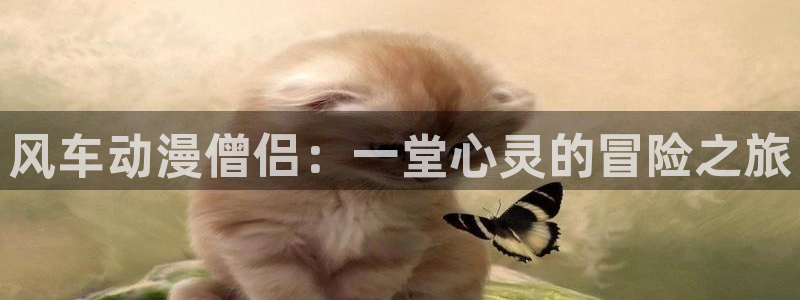 colamanage漫画：风车动漫僧侣：一堂心灵的冒险之旅