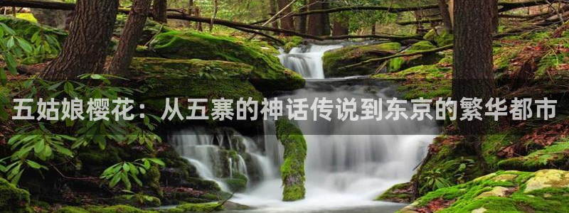colomanage漫画官网：五姑娘樱花：从五寨的神话传说到东京的繁华都市