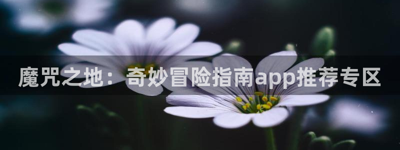 奇漫屋官网网址：魔咒之地：奇妙冒险指南app推荐专区