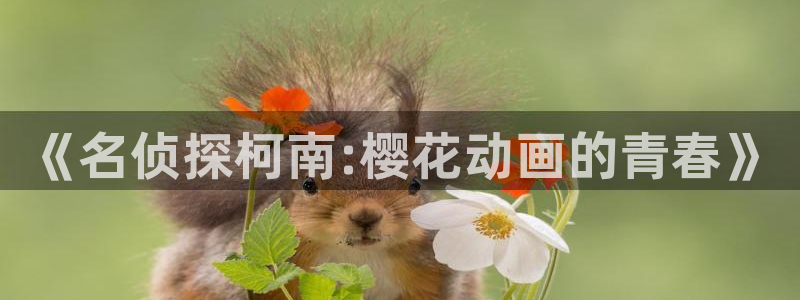 age漫画网：《名侦探柯南:樱花动画的青春》