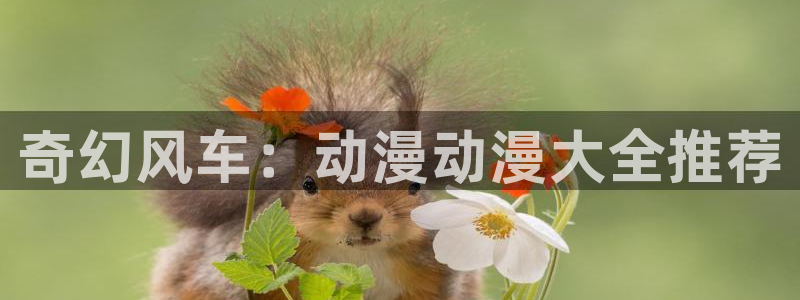 奇漫屋网下载：奇幻风车：动漫动漫大全推荐