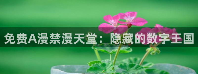 奇漫屋：免费A漫禁漫天堂：隐藏的数字王国