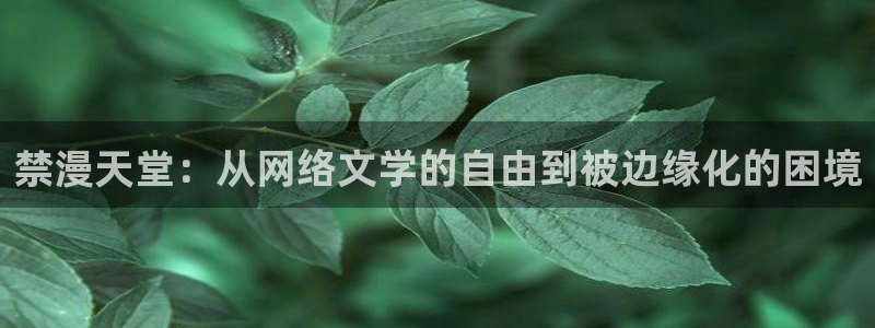 奇漫屋官网网址：禁漫天堂：从网络文学的自由到被边缘化的困境