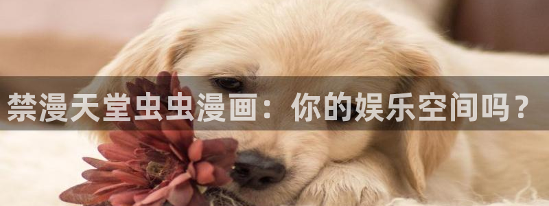 奇漫屋网：禁漫天堂虫虫漫画：你的娱乐空间吗？