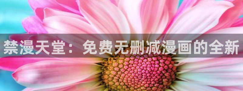奇漫屋专注动漫的门户网站：禁漫天堂：免费无删减漫画的全新