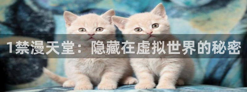 奇漫屋网下载：1禁漫天堂：隐藏在虚拟世界的秘密