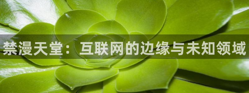 age樱花动漫：禁漫天堂：互联网的边缘与未知领域