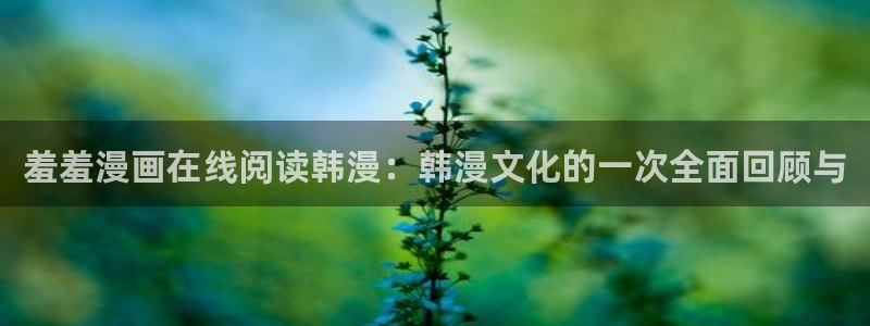 韩国漫画平台kakaopage：羞羞漫画在线阅读韩漫：韩漫文化的一次全面回顾与