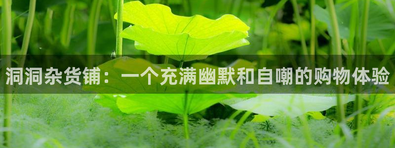 colomanage漫画官网：洞洞杂货铺：一个充满幽默和自嘲的购物体验