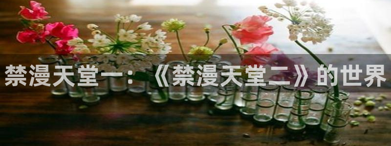 拷贝漫画 copymanager.ory网站：禁漫天堂一：《禁漫天堂二》的世界