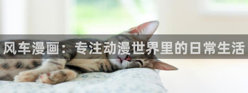 age漫画网：风车漫画：专注动漫世界里的日常生活