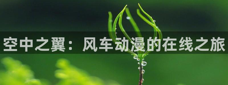 奇漫屋：空中之翼：风车动漫的在线之旅