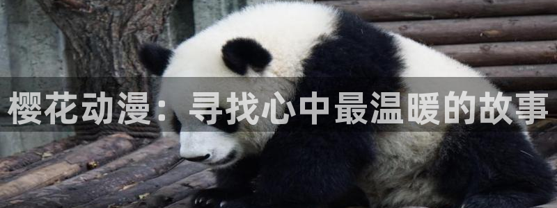 奇漫屋omofun：樱花动漫：寻找心中最温暖的故事